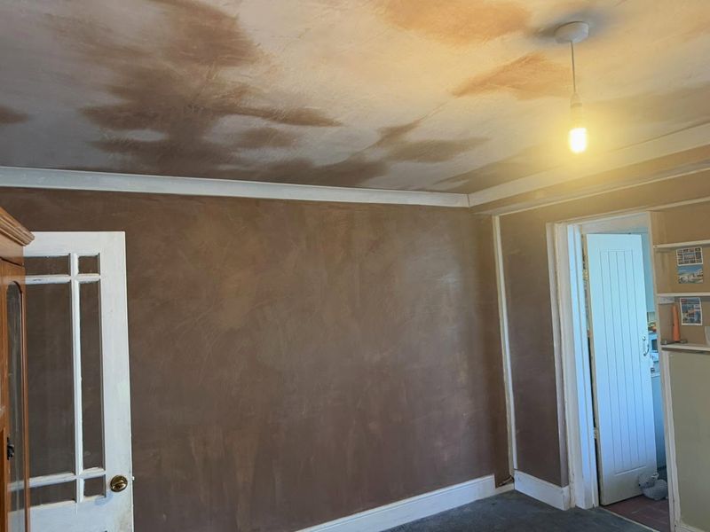 A room with new coving and a freshly skimmed ceiling, drying dark and pale in patches
